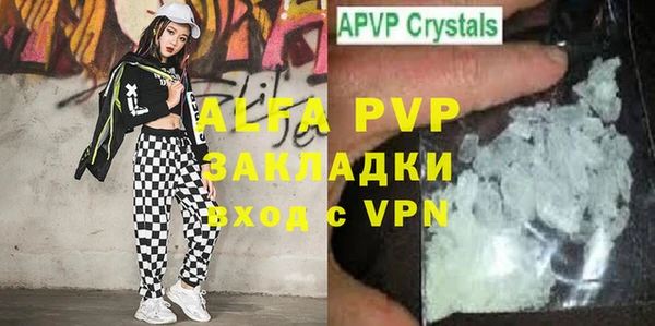 прущий лед Богданович