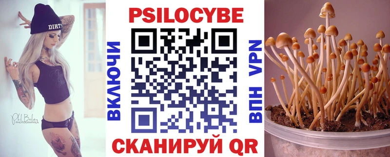Псилоцибиновые грибы Psilocybine cubensis  Ульяновск 